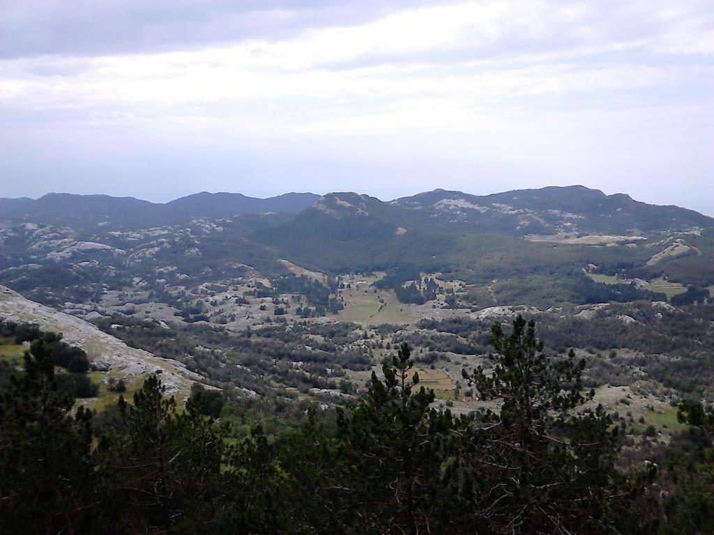 Mirkovic