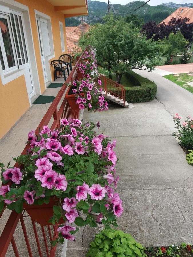Apartment Mirkovic