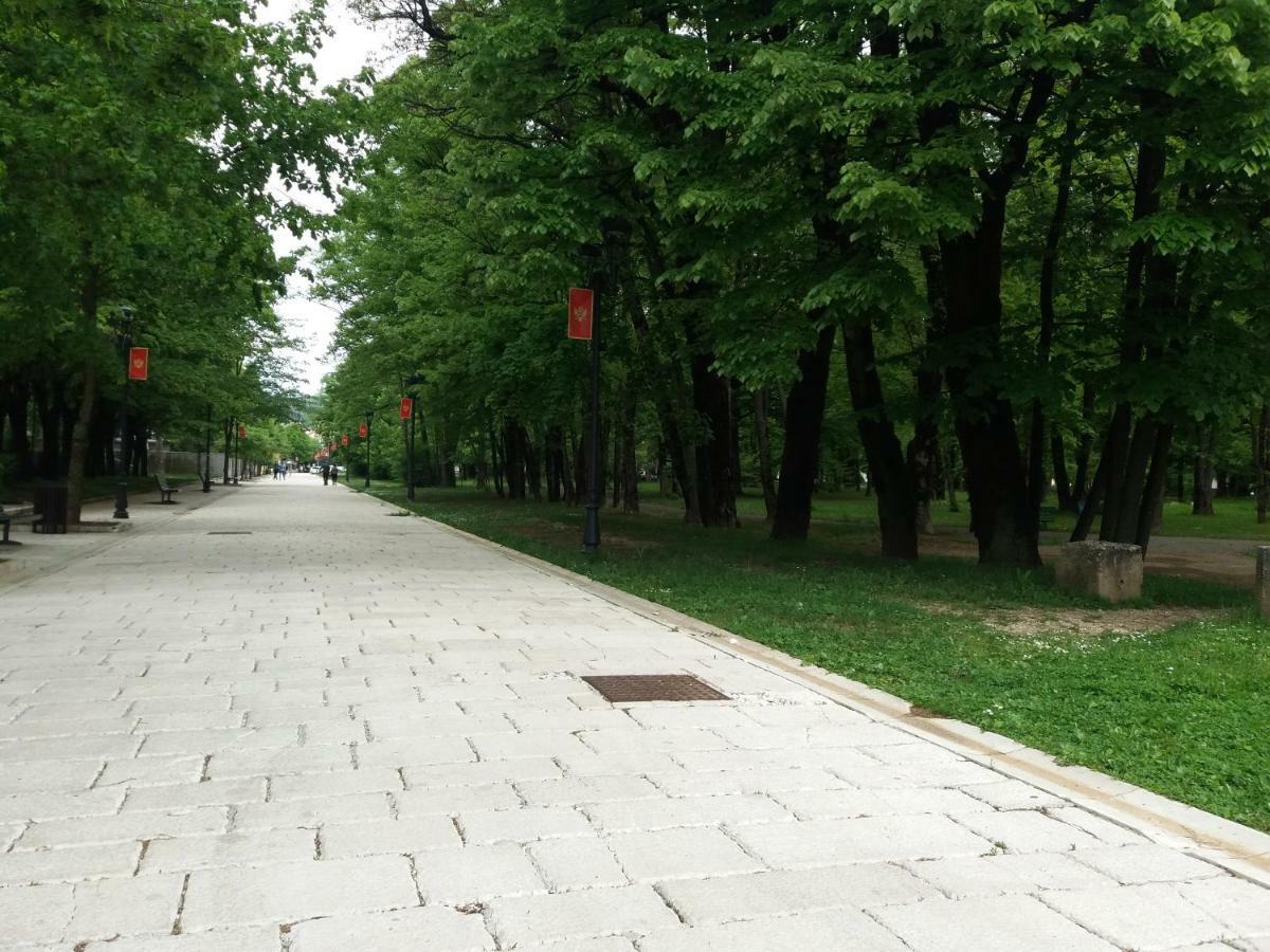 Mirkovic Cetinje