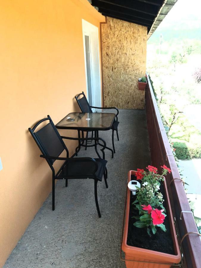 Mirkovic Apartment Cetinje