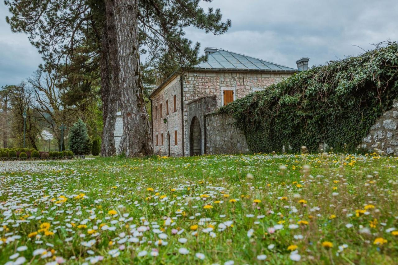 Appartement Mirkovic *